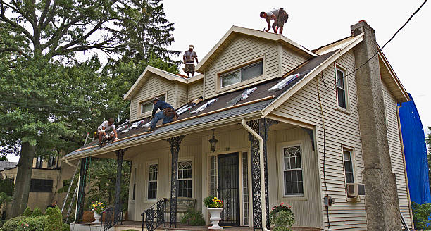 Roof Gutter Cleaning in Progreso, TX